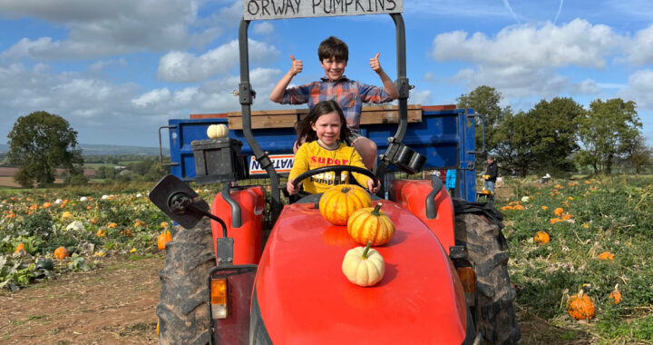 Autumn Devon Pumpkins: Discover the Best Pumpkin Patches